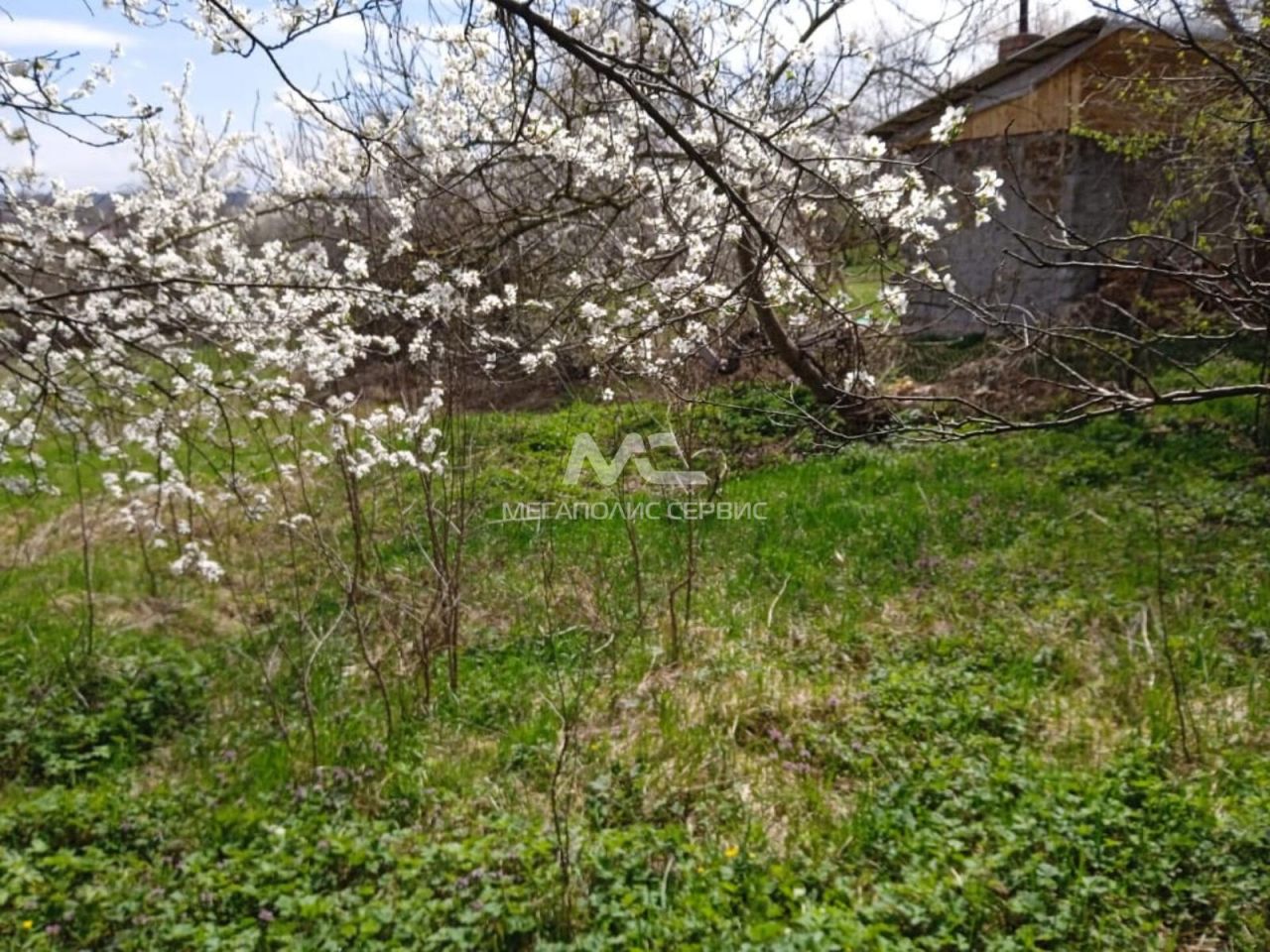 Саратовская краснодарский край